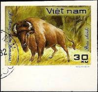 (1981-046a) Марка Вьетнам "Бизон"  Без перфорации  Дикие животные III Θ